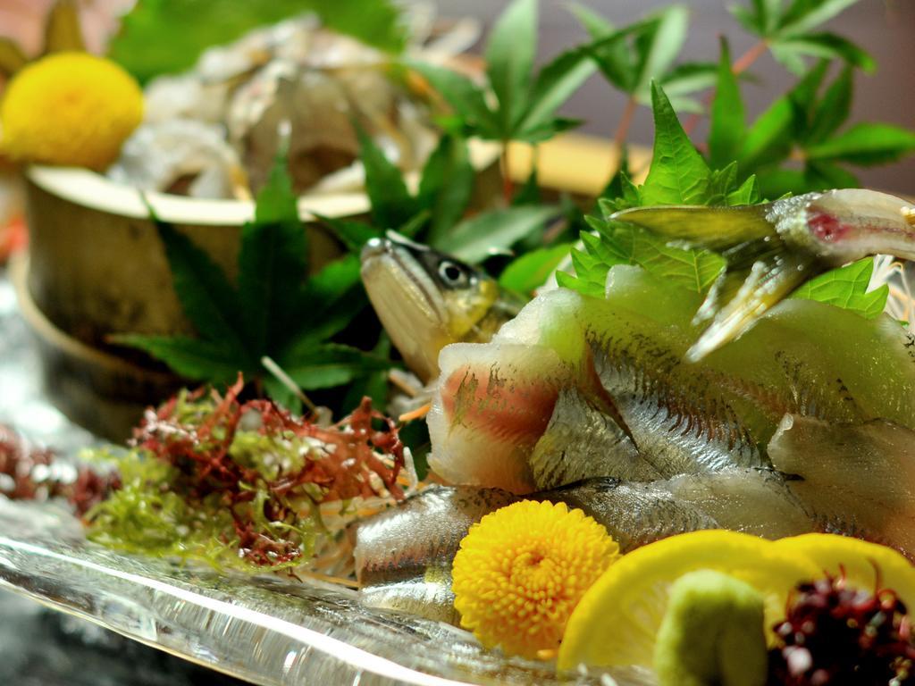 Hitoyoshi Ryokan Eksteriør billede